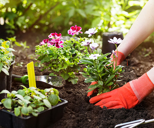 Der Garten erwacht!
